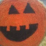 Big Stone Pumpkin Patch photo