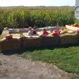 Big Stone Pumpkin Patch photo