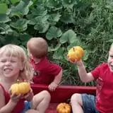 Big Stone Pumpkin Patch photo