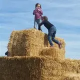 Big Stone Pumpkin Patch photo