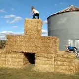 Big Stone Pumpkin Patch photo