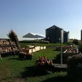 Big Stone Pumpkin Patch photo