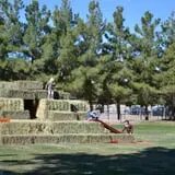 Pahrump Disability Outreach Program Pumpkin Days photo
