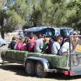 Pahrump Disability Outreach Program Pumpkin Days photo