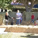 Pahrump Disability Outreach Program Pumpkin Days photo