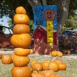 Pahrump Disability Outreach Program Pumpkin Days photo