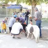 Pahrump Disability Outreach Program Pumpkin Days photo