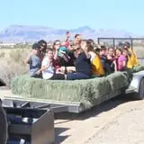 Pahrump Disability Outreach Program Pumpkin Days photo