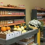 Pumpkinland at Thies Farm & Greenhouses photo
