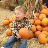 Pumpkinland at Thies Farm & Greenhouses photo