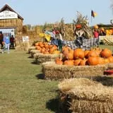Pumpkinland at Thies Farm & Greenhouses photo