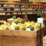 Pumpkinland at Thies Farm & Greenhouses photo