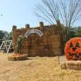 Pumpkinland at Thies Farm & Greenhouses photo