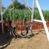Pumpkinland at Thies Farm & Greenhouses photo