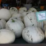 Pumpkinland at Thies Farm & Greenhouses photo