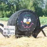 Pumpkinland at Thies Farm & Greenhouses photo