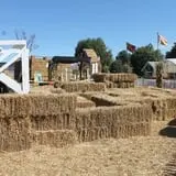 Pumpkinland at Thies Farm & Greenhouses photo