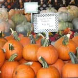Pumpkinland at Thies Farm & Greenhouses photo