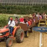 Pumpkinland at Thies Farm & Greenhouses photo