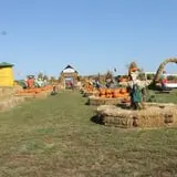 Pumpkinland at Thies Farm & Greenhouses photo