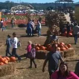 Pumpkinland at Thies Farm & Greenhouses photo