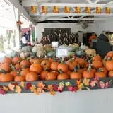 Pumpkinland at Thies Farm & Greenhouses photo