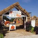 Pumpkinland at Thies Farm & Greenhouses photo