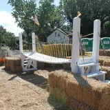 Pumpkinland at Thies Farm & Greenhouses photo