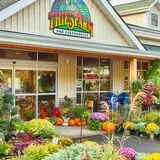 Pumpkinland at Thies Farm & Greenhouses photo