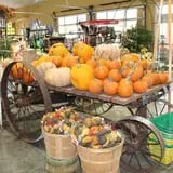 Pumpkinland at Thies Farm & Greenhouses photo