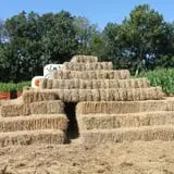 Pumpkinland at Thies Farm & Greenhouses photo