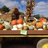 Pumpkinland at Thies Farm & Greenhouses photo