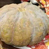 Pumpkinland at Thies Farm & Greenhouses photo