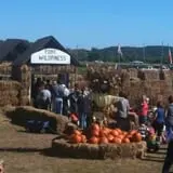 Pumpkinland at Thies Farm & Greenhouses photo