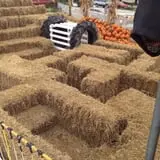 Pumpkinland at Thies Farm & Greenhouses photo