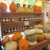 Pumpkinland at Thies Farm & Greenhouses photo