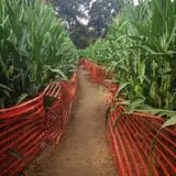 Pumpkinland at Thies Farm & Greenhouses photo