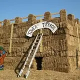 Pumpkinland at Thies Farm & Greenhouses photo