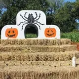 Pumpkinland at Thies Farm & Greenhouses photo
