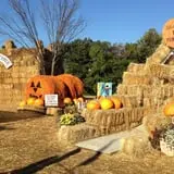 Pumpkinland at Thies Farm & Greenhouses photo