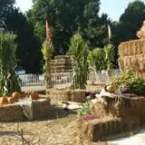 Pumpkinland at Thies Farm & Greenhouses photo