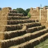 Pumpkinland at Thies Farm & Greenhouses photo
