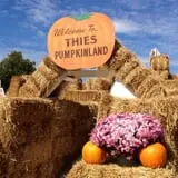 Pumpkinland at Thies Farm & Greenhouses photo