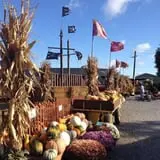 Pumpkinland at Thies Farm & Greenhouses photo