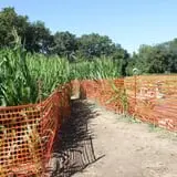 Pumpkinland at Thies Farm & Greenhouses photo