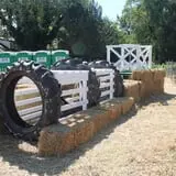 Pumpkinland at Thies Farm & Greenhouses photo