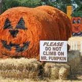 Pumpkinland at Thies Farm & Greenhouses photo