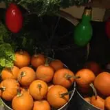 Pumpkinland at Thies Farm & Greenhouses photo
