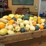 Pumpkinland at Thies Farm & Greenhouses photo