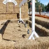 Pumpkinland at Thies Farm & Greenhouses photo